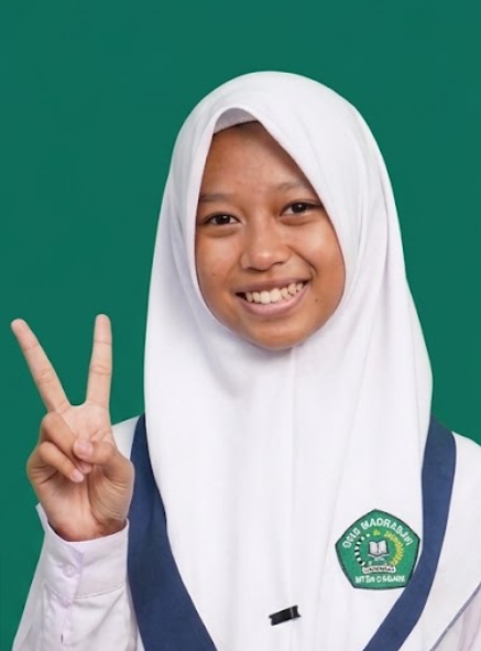 Calon Wakil